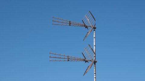 Imagen de la entrada