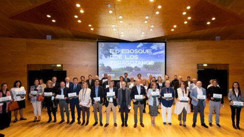 Imagen de la entrada