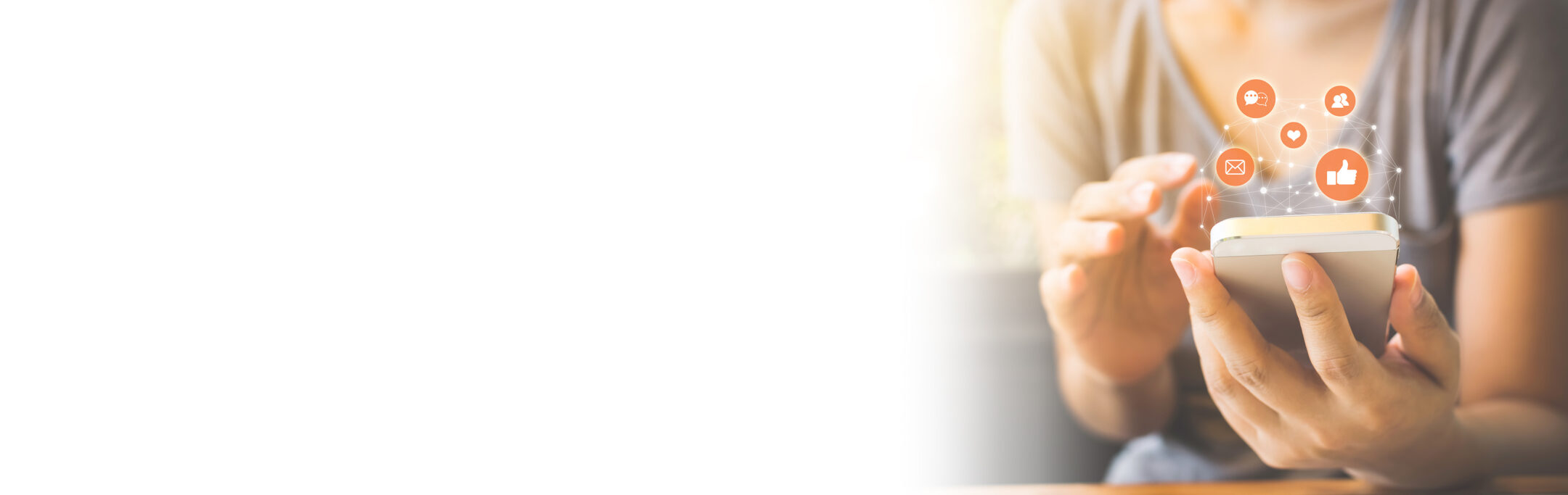 Imagen de la entrada