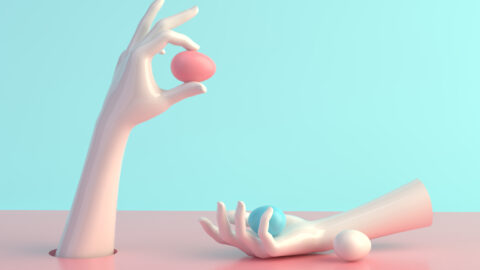 Imagen de la entrada