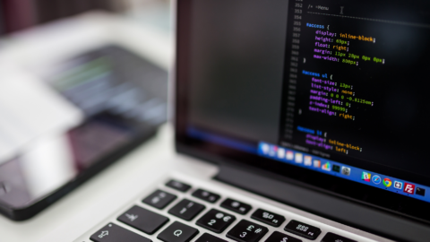 Imagen de la entrada