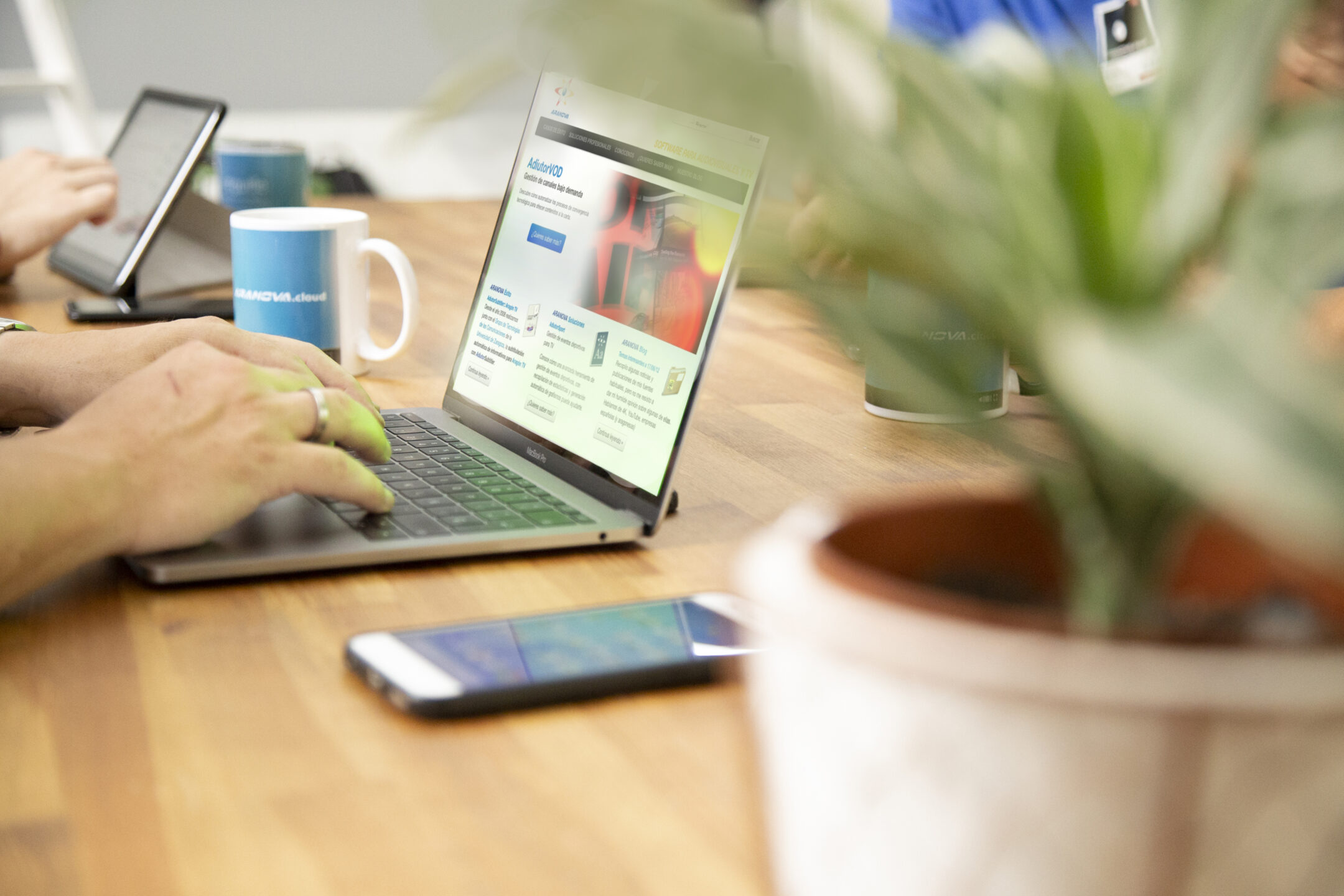 Imagen de la entrada