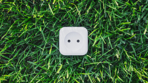 Imagen de la entrada