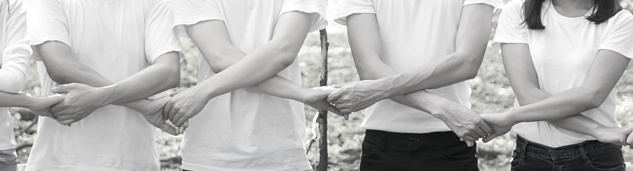 Imagen de la entrada