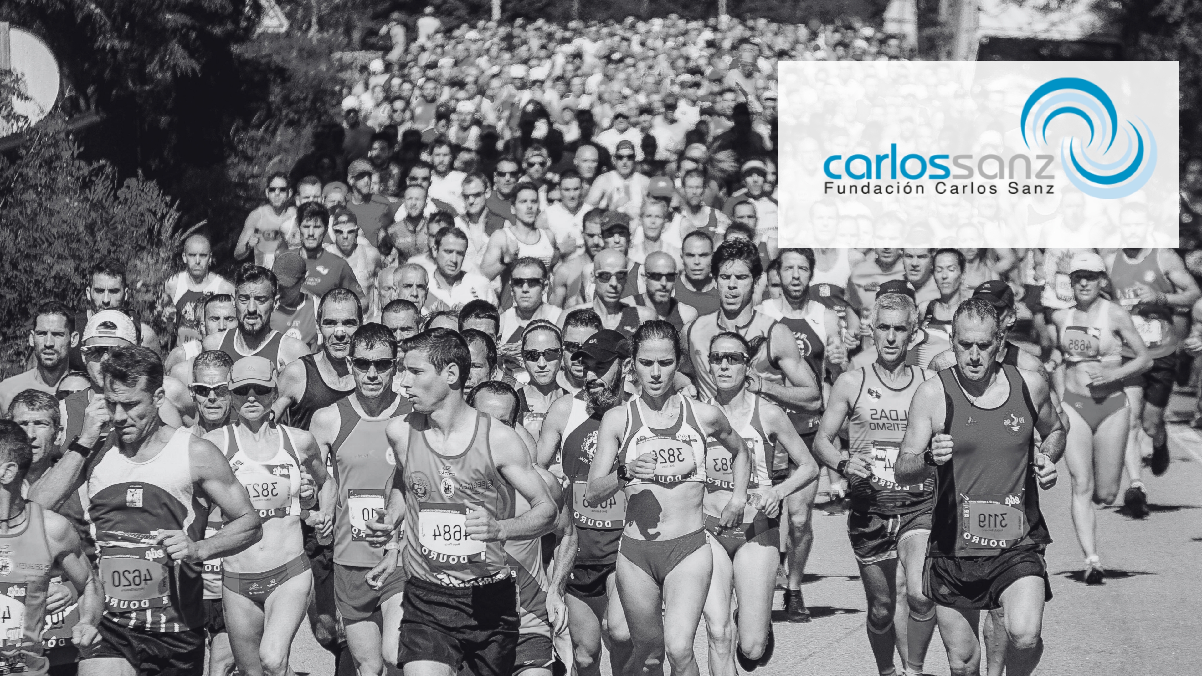 Fundación Carlos Sanz