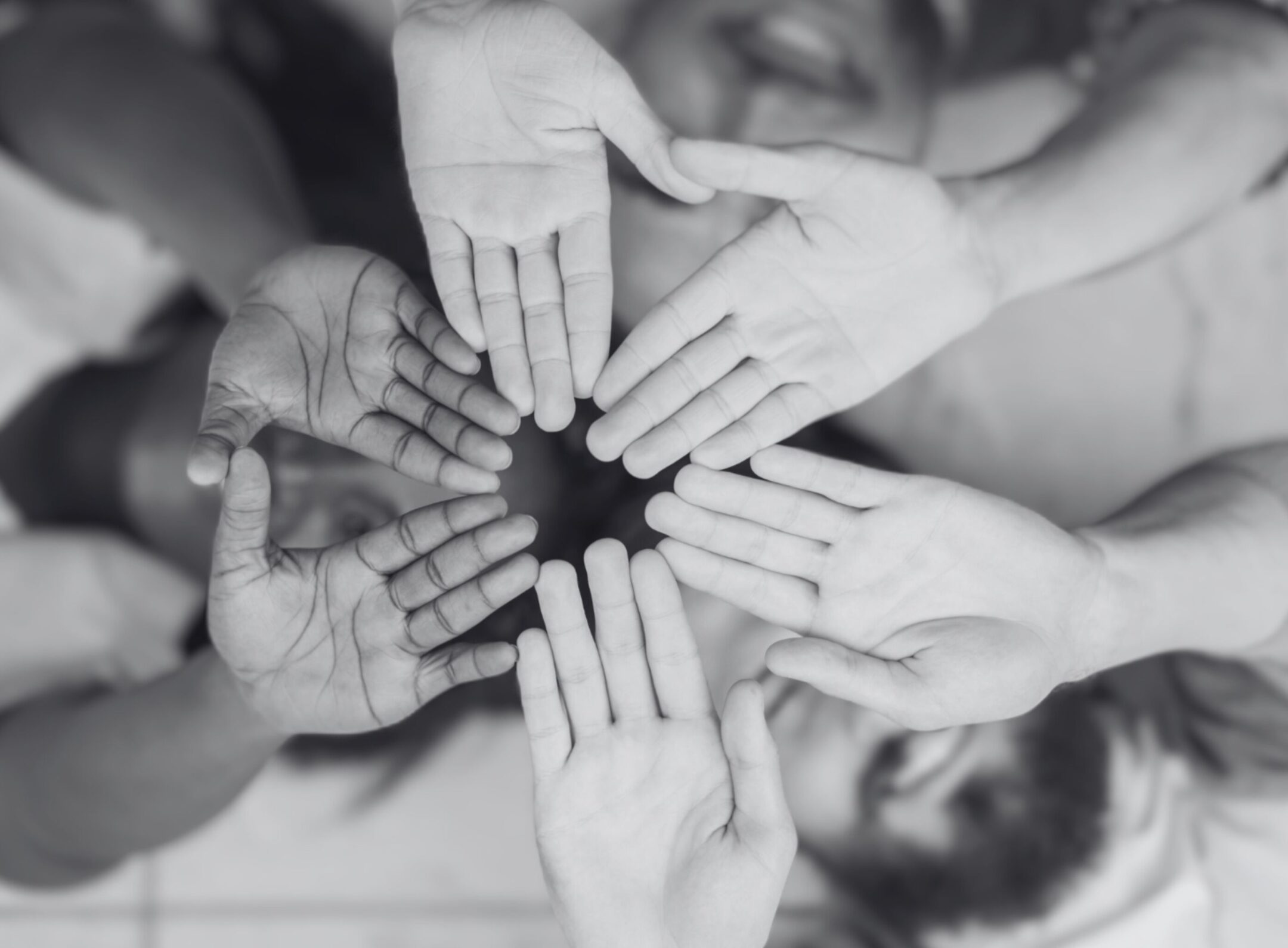 Imagen de la entrada