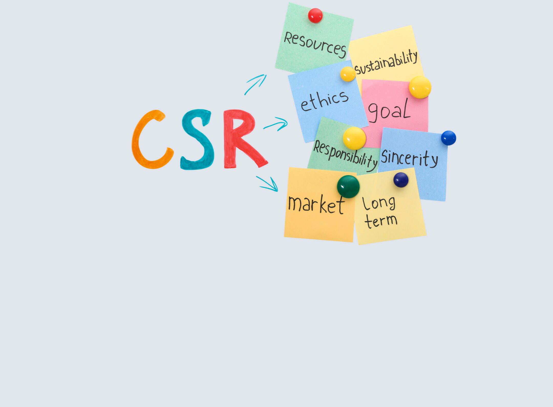 Imagen de la entrada