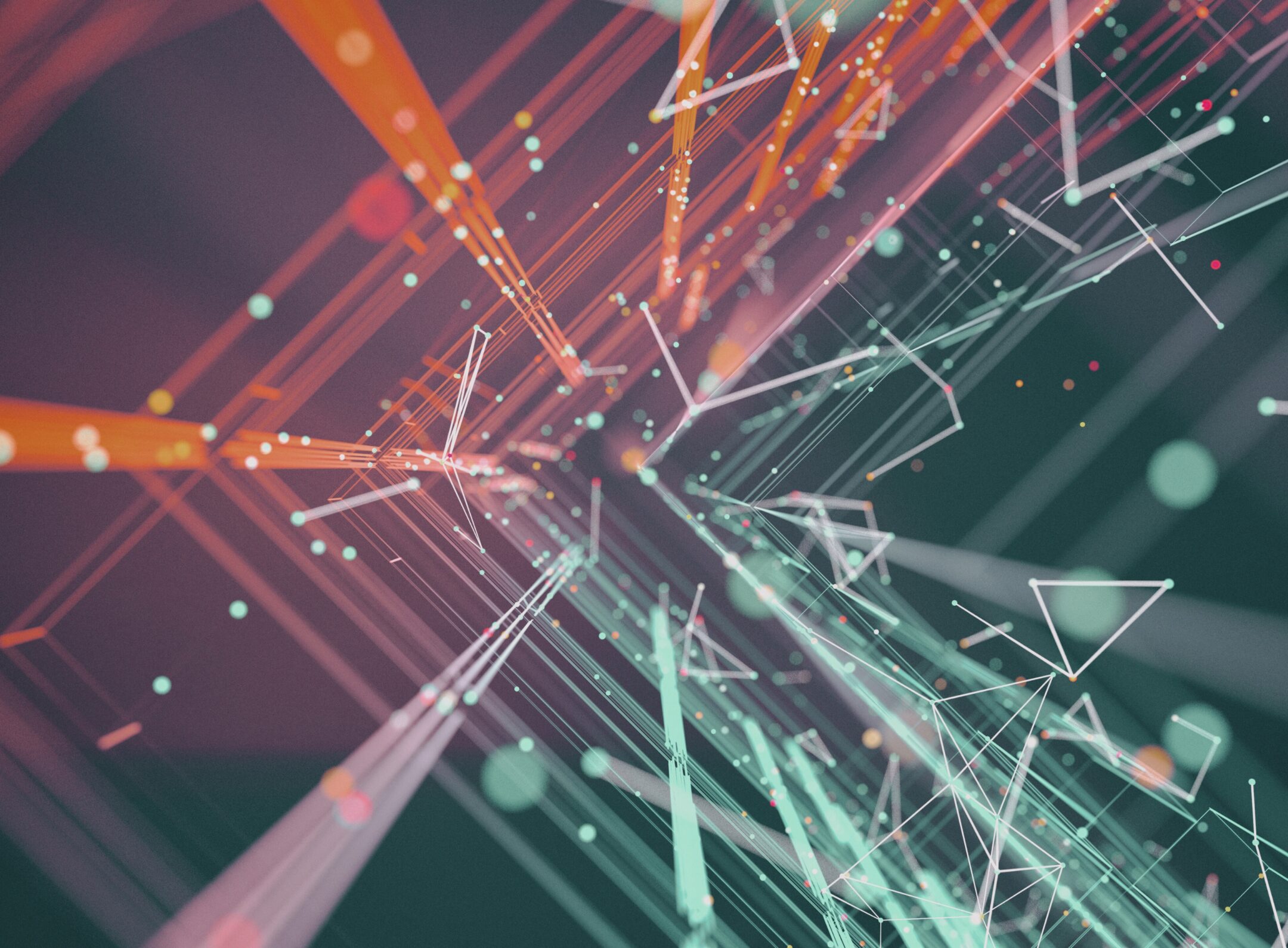 Imagen de la entrada