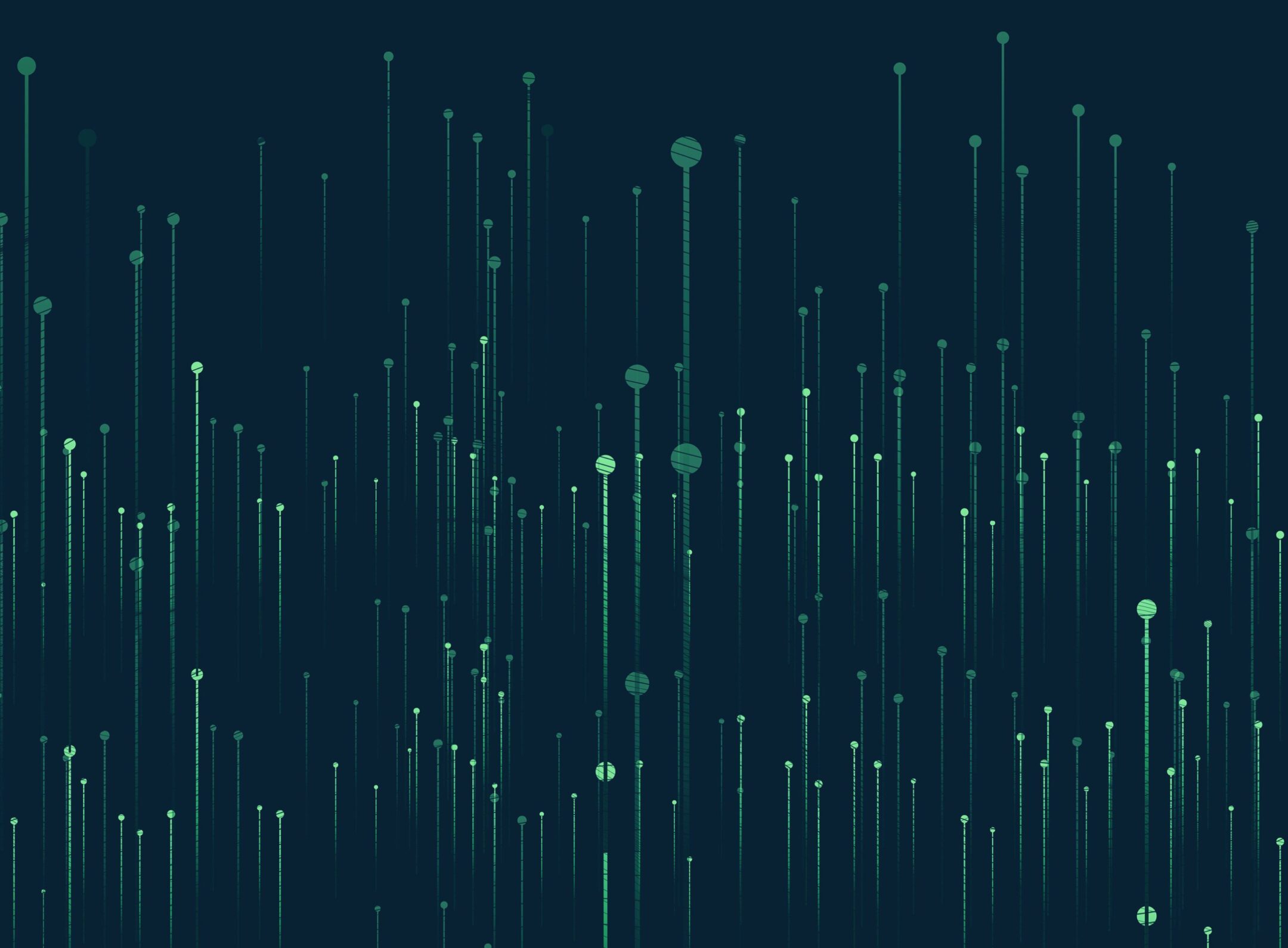 Imagen de la entrada