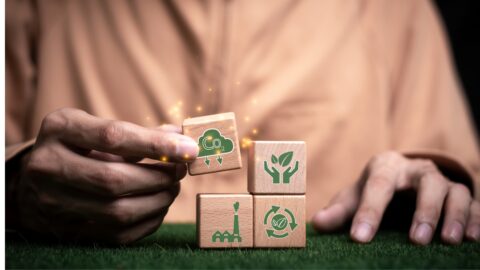 Imagen de la entrada