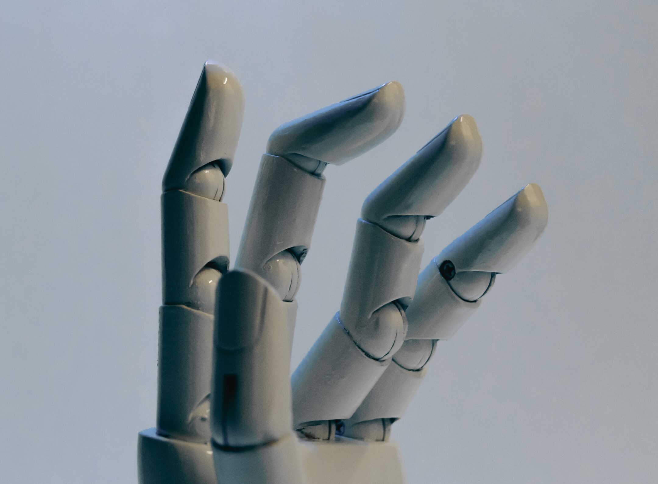 Imagen de la entrada