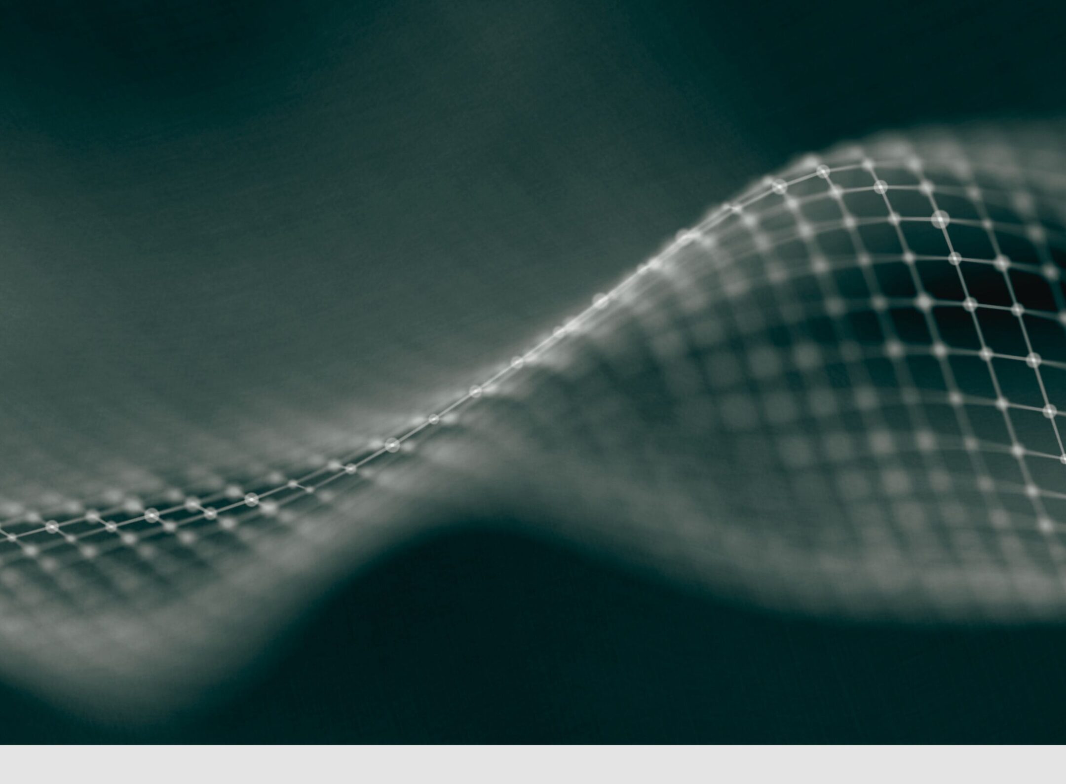 Imagen de la entrada