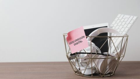 Imagen de la entrada