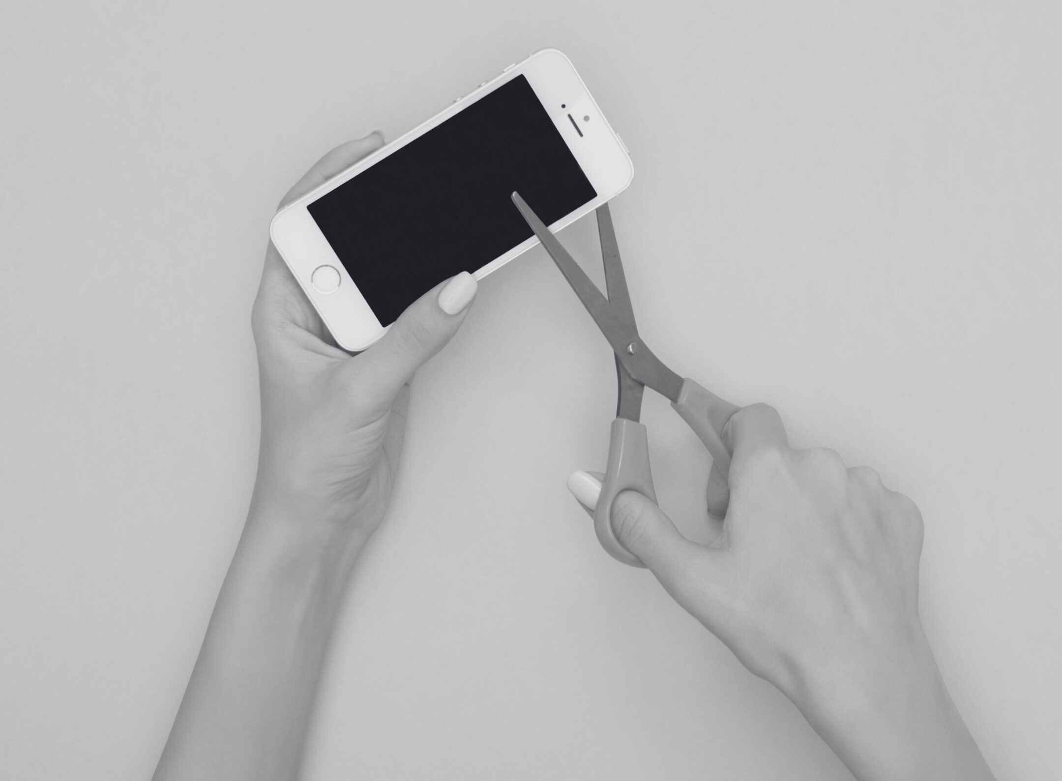 Imagen de la entrada