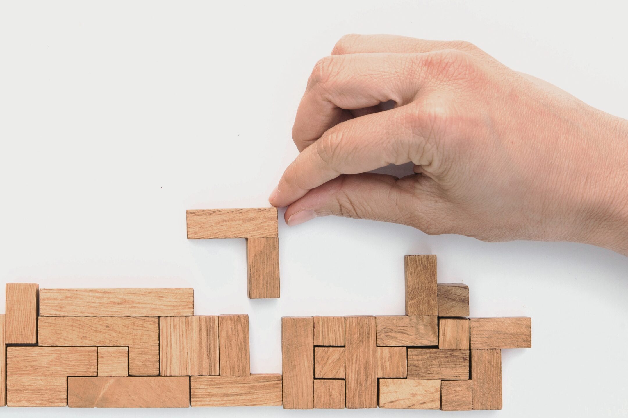 Imagen de la entrada